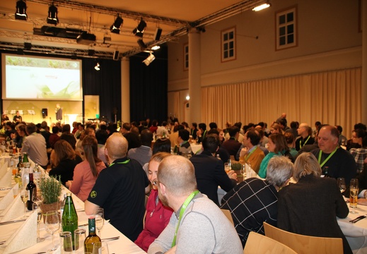 IMG 3565